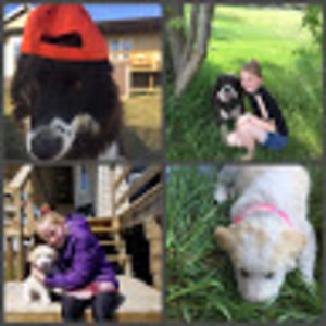 Meet your Posher, Denae